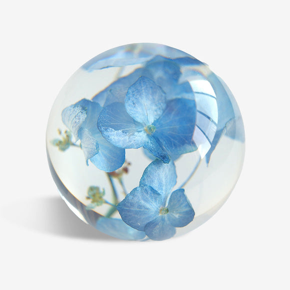 PENGEMS Blue Hydrangea Flower Blossom Crystal Clear Paperweight